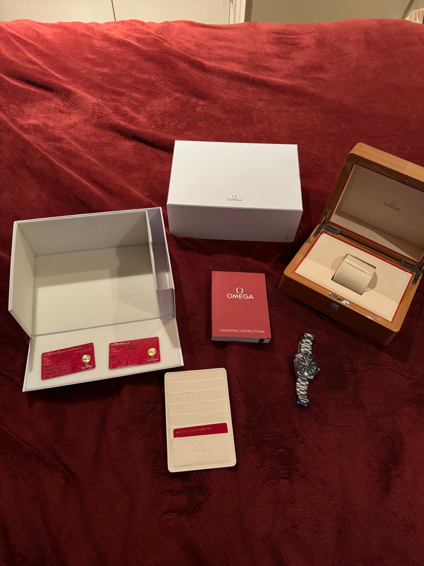 2019 Omega Seamaster Planet Ocean