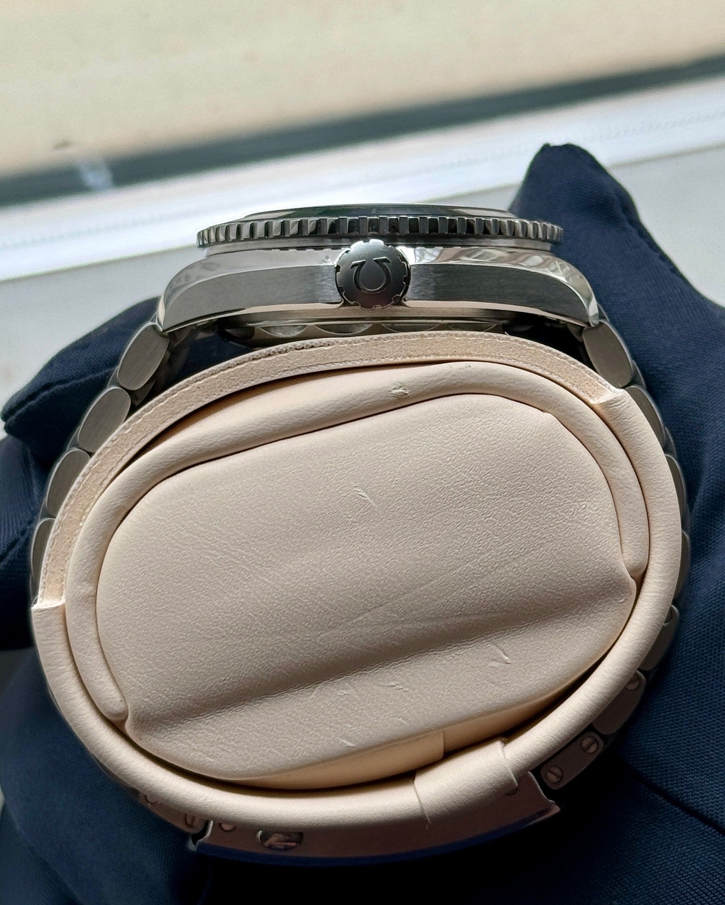2019 Omega Seamaster Planet Ocean