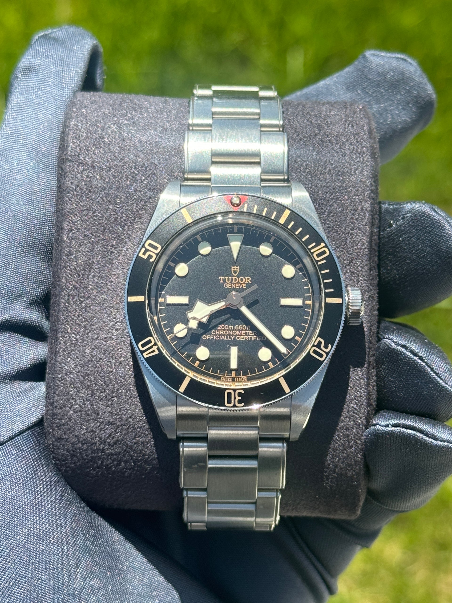 Tudor Black Bay 58 M79030N