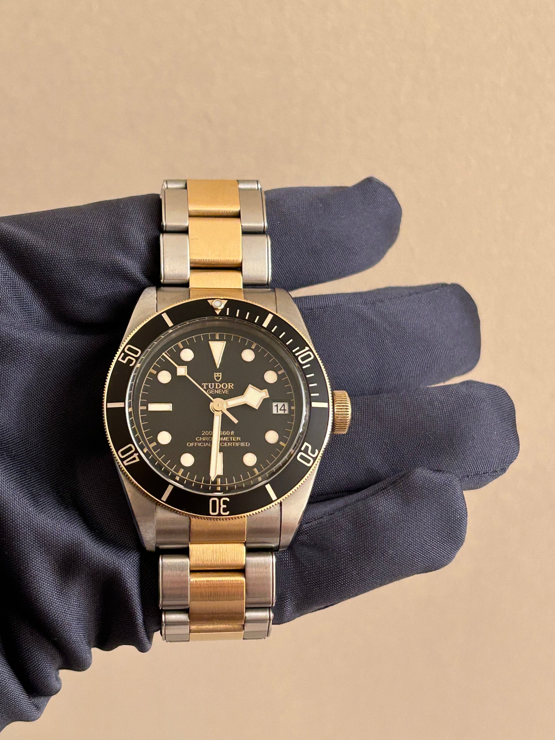 2022 Tudor Black Bay 58 S&G